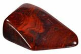 Bargain Polished Stromatolite (Collenia) - Minnesota #108568-1